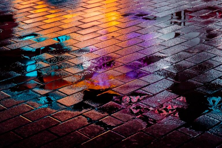 Agua de lluvia acumulada sobre pavimento, fotografía ilustrativa de prevención sanitaria