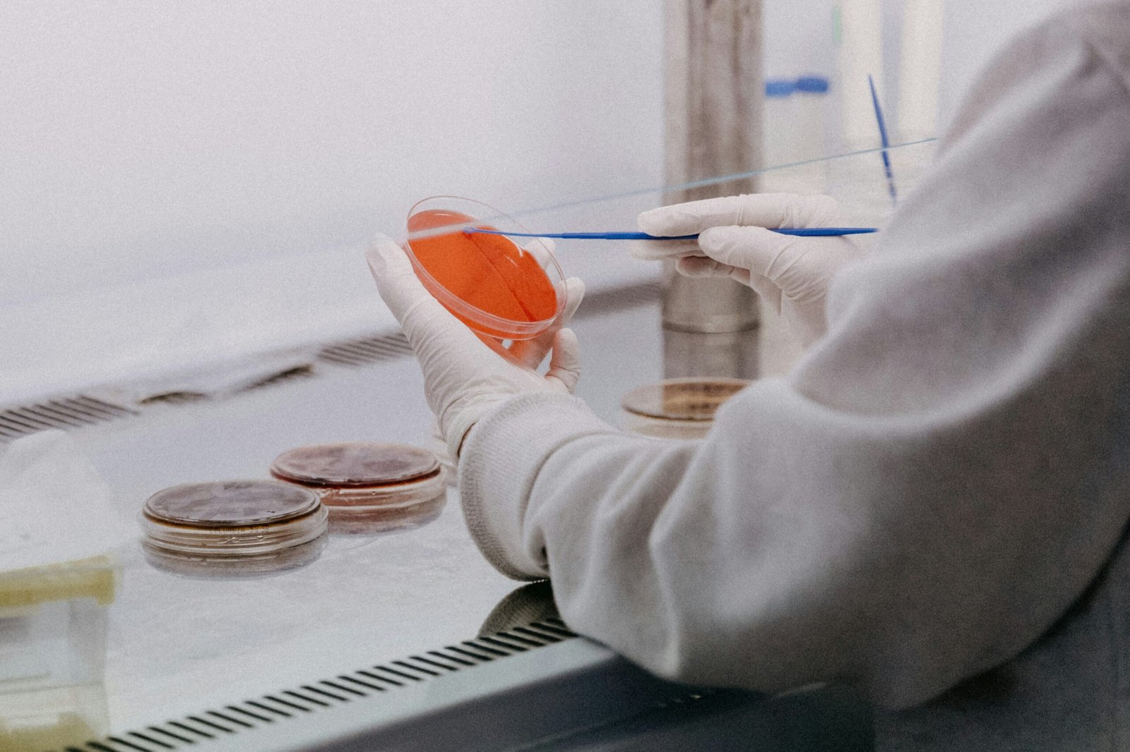 Laboratorio de microbiología, imagen ilustrativa. Foto: Trnava University / Unsplash